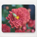 Search for beetle mousepads Red