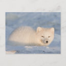 Search for coastal plain postcards Climate change