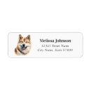 Search for akitas return address labels Pet