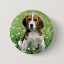 Search for dog photo badges Canine