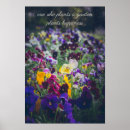 Search for pansy posters Floral photography