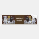 Search for kitten bumper stickers Spay