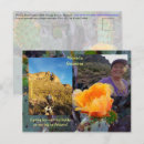 Search for prickly postcards Nature