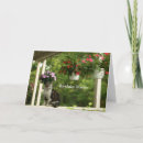 Search for best buddies cards Cat