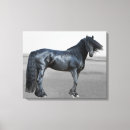 Search for proud photography Animal