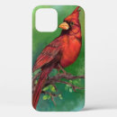 Search for cardinals iphone cases Red cardinal