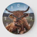 Search for highland cow clocks Beef