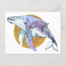 Search for whales postcards Animal