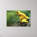 Search for wild one canvas prints Animals