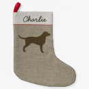 Search for coated Retriever