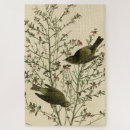 Search for audubon birds puzzles Illustration