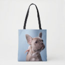 Search for purebred bags Frenchie