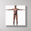 Search for muscles art Thigh