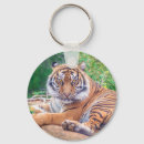 Search for tiger key rings Wild animals