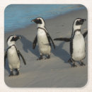 Search for penguin barware Nature