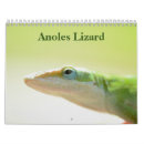 Search for lizard calendars Reptile