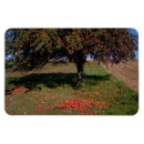 Search for apple magnets Juicy