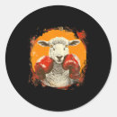 Search for kick boxer stickers Combat skill development