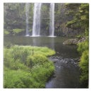 Search for nature tiles Fall