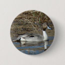 Search for drake badges Ducks