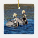 Search for pelican christmas tree decorations Nature