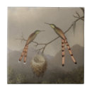 Search for hummingbird tiles Tropical