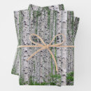 Search for birch wrapping paper nature