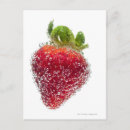 Search for juicy postcards Freshness
