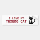 Search for black and white cat bumper stickers Cute