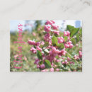 Search for skyline business cards Photography