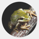 Search for frog stickers Wild