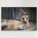 Search for kangaroo puzzles Animals