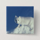 Search for arctic badges Winter
