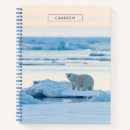 Search for polar bear notebooks Climate change