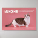 Search for sausage art Pet