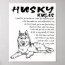 Search for siberian husky posters Colorful
