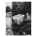 Search for black and white flower posters Photography