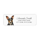 Search for rats return address labels Rat terrier