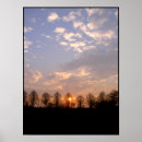 Search for sun set photography Tree
