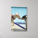 Search for bonds canvas prints Outdoors