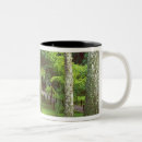 Search for kyoto japan mugs Green