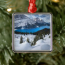Search for canadian christmas tree decorations Landscape