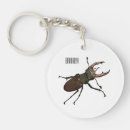 Search for stag key rings Beetle