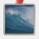 Search for surfing christmas tree decorations Hawaii