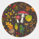 Search for leaves and berries stickers Autumn