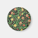 Search for fruit magnets Vintage