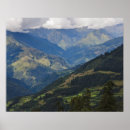 Search for hill valley posters Forest