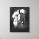 Search for horse canvas prints Animals