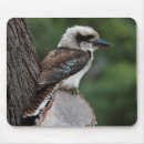 Search for kookaburra mousepads Wildlife