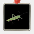 Search for grasshopper christmas tree decorations Green